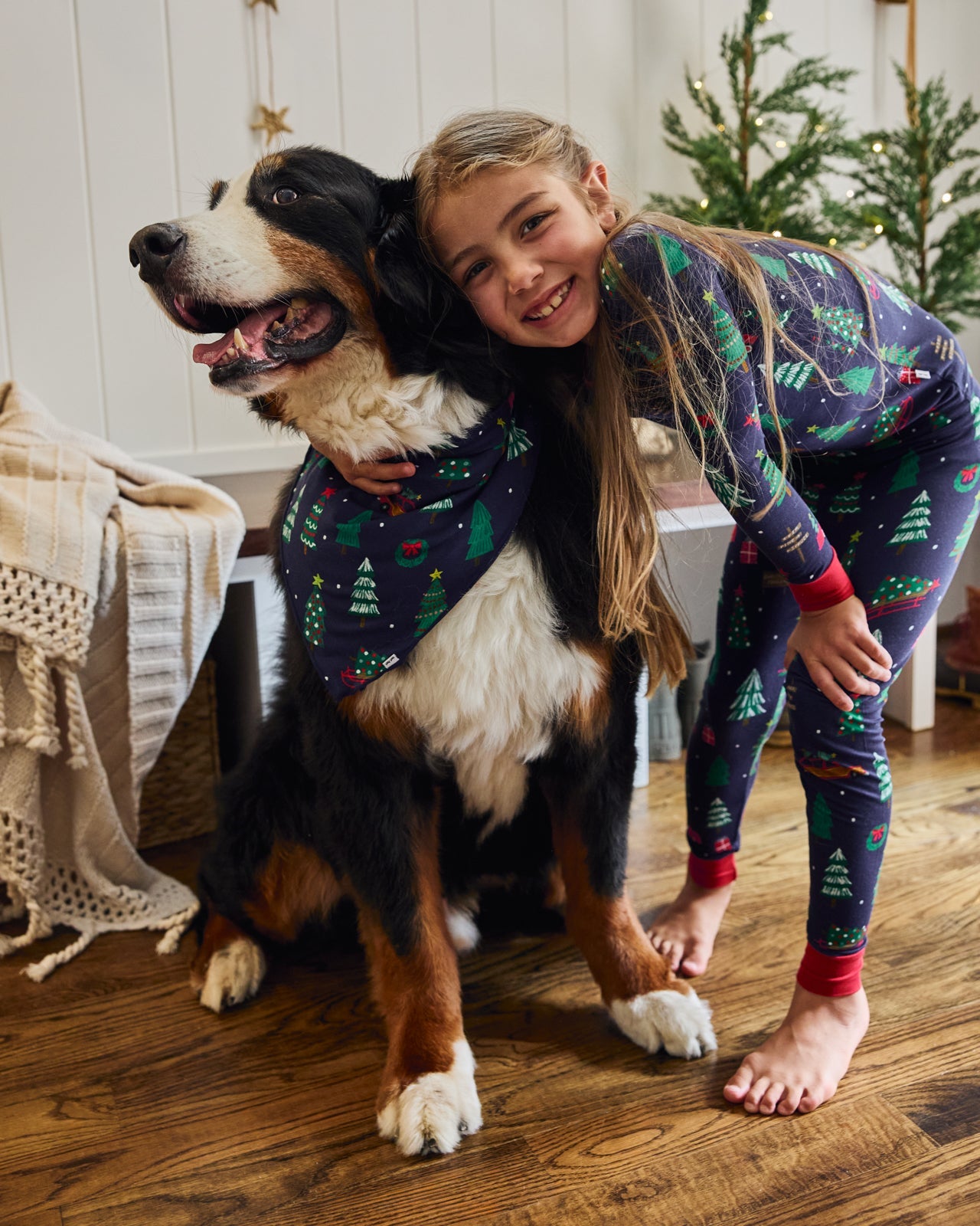 Navy Tree Traffic Pet Bandana