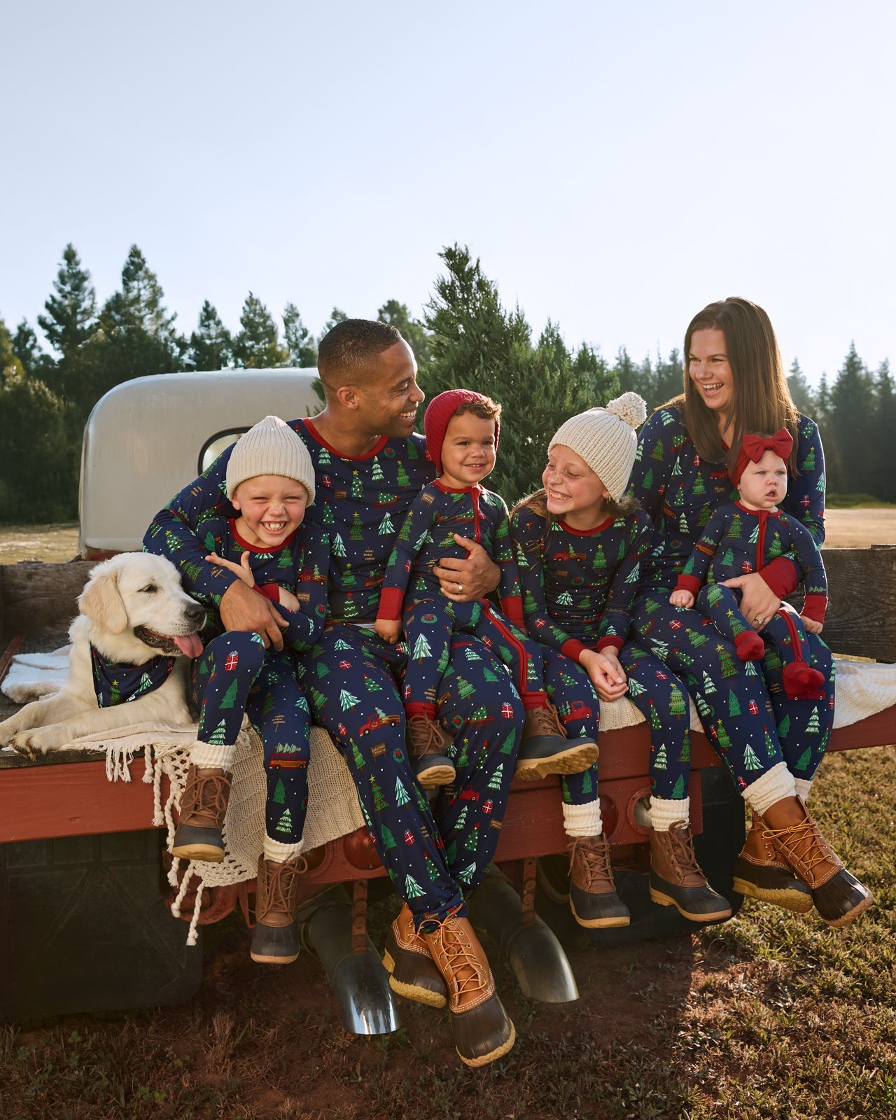 Navy Tree Traffic Pet Bandana