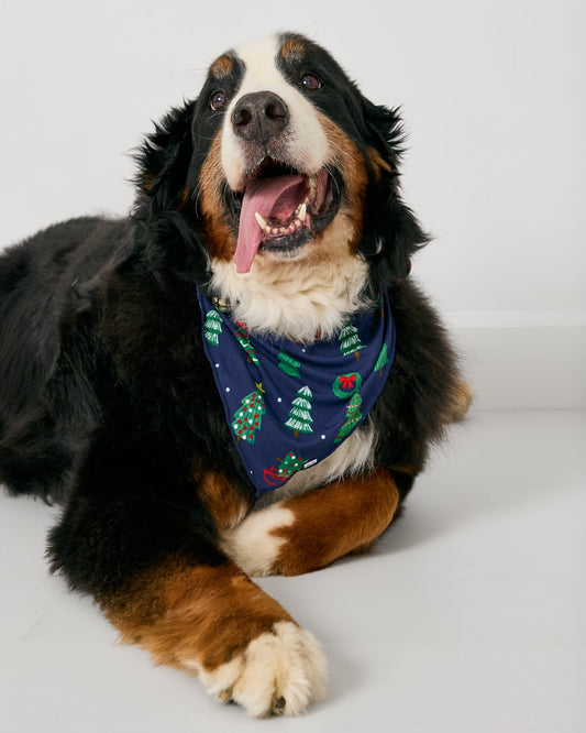 Navy Tree Traffic Pet Bandana